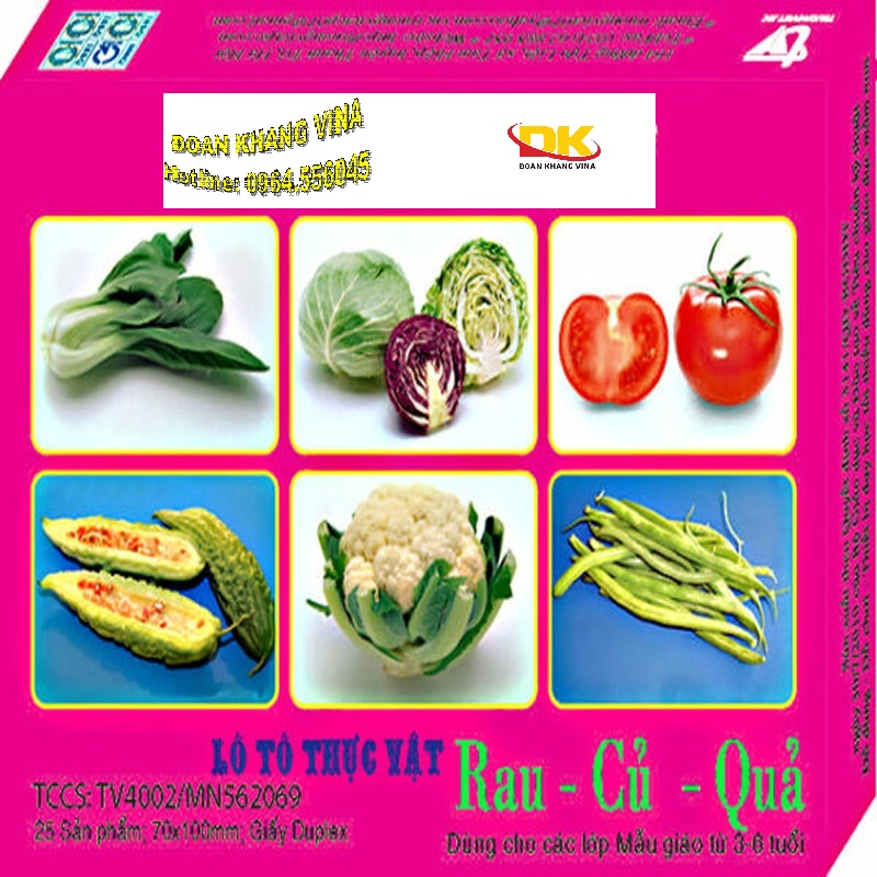 Lô tô thực vật (rau, củ, quả) DK 090-66